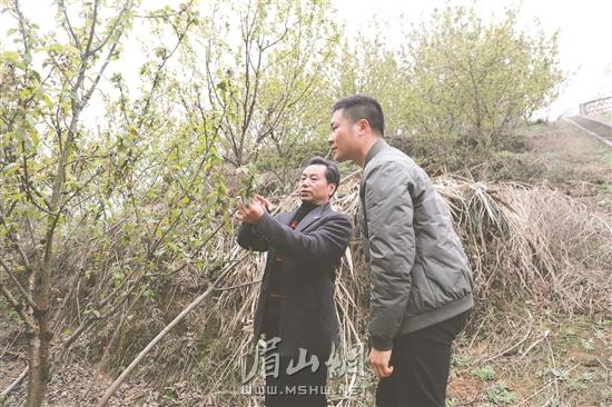 手机眉山最新新闻眉山近期发生的新闻-第2张图片-太平洋在线下载