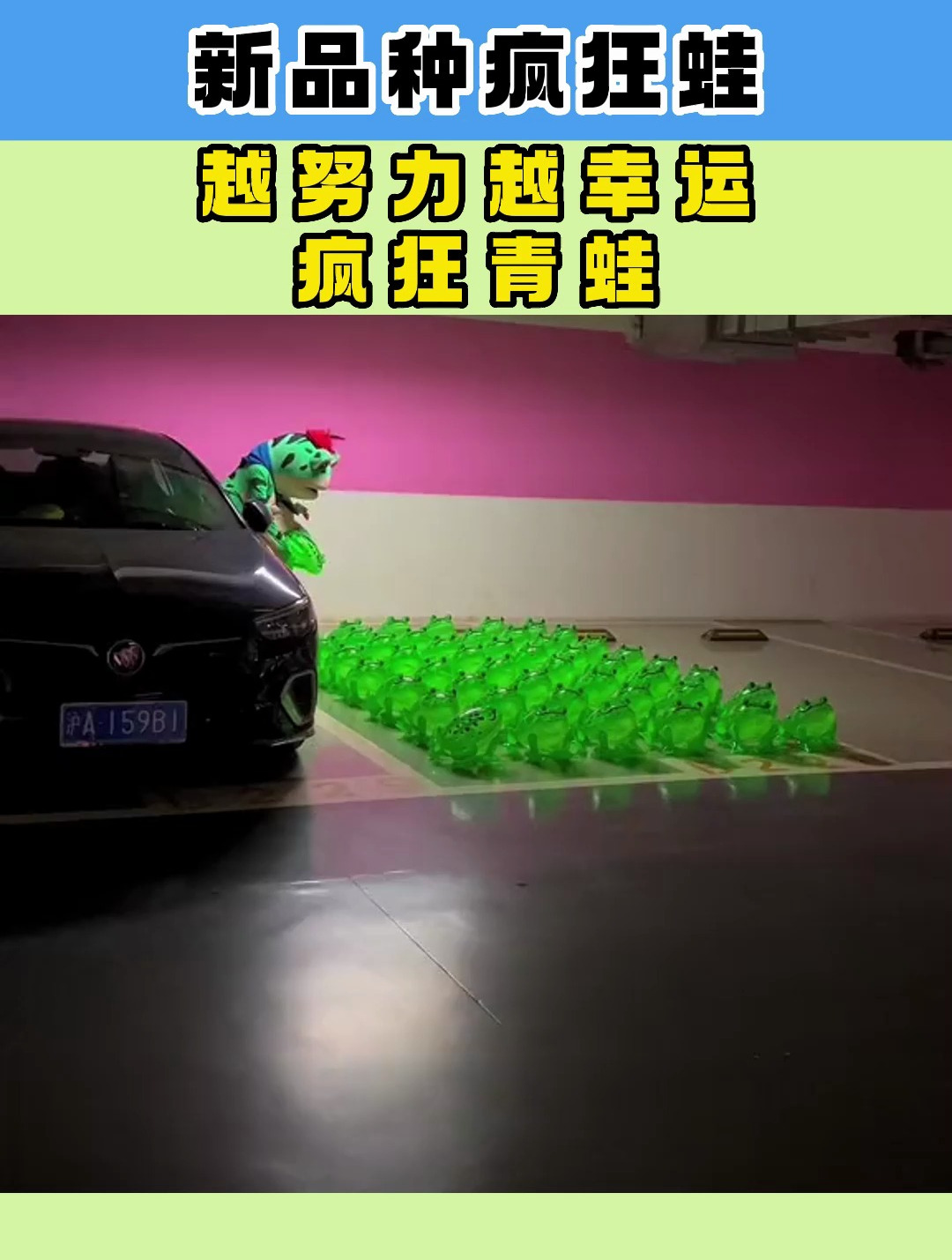 疯狂青蛙手机版下载苹果版疯狂青蛙模拟器电脑版免费下载-第1张图片-太平洋在线下载