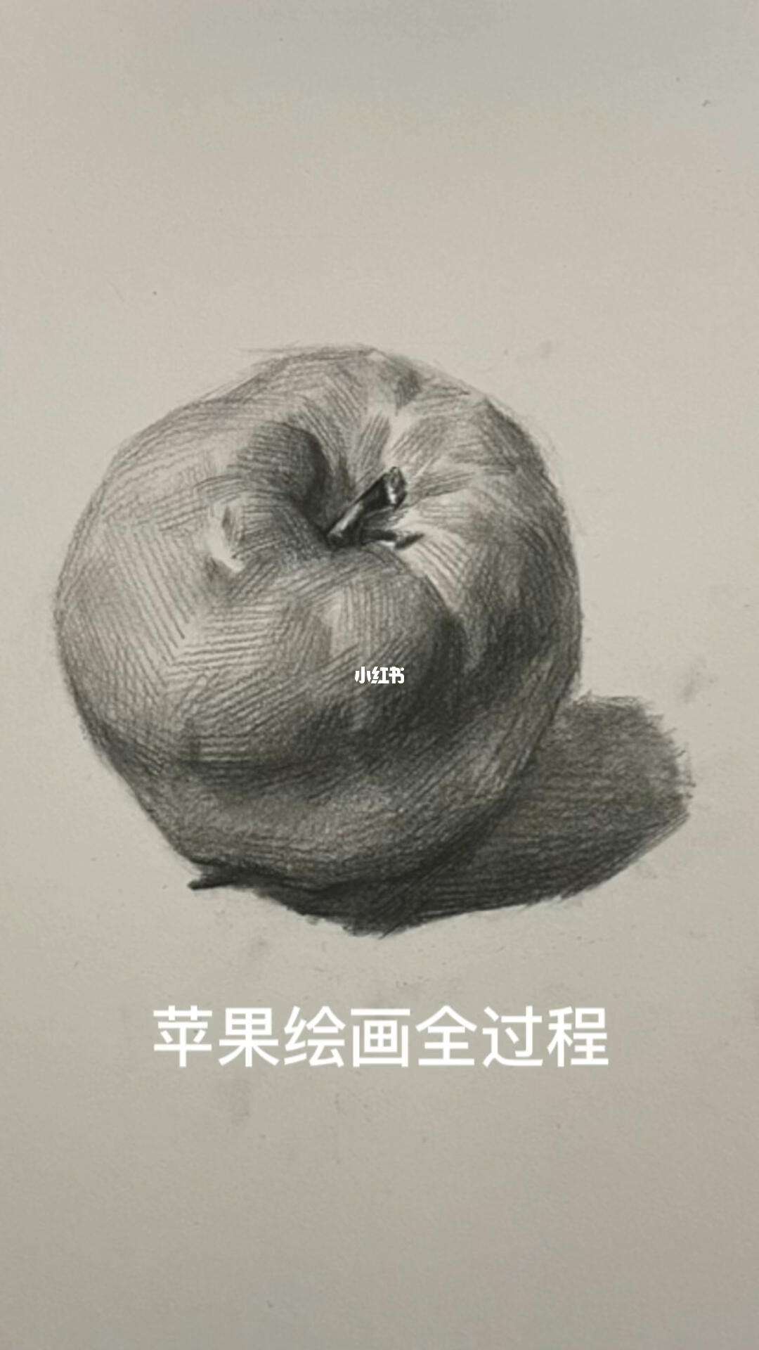 画素描版的苹果素描画苹果的步骤图片-第1张图片-太平洋在线下载