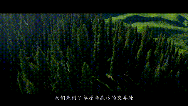 琼的奇妙旅程苹果版苹果系统的游戏怎么在电脑上玩-第1张图片-太平洋在线下载