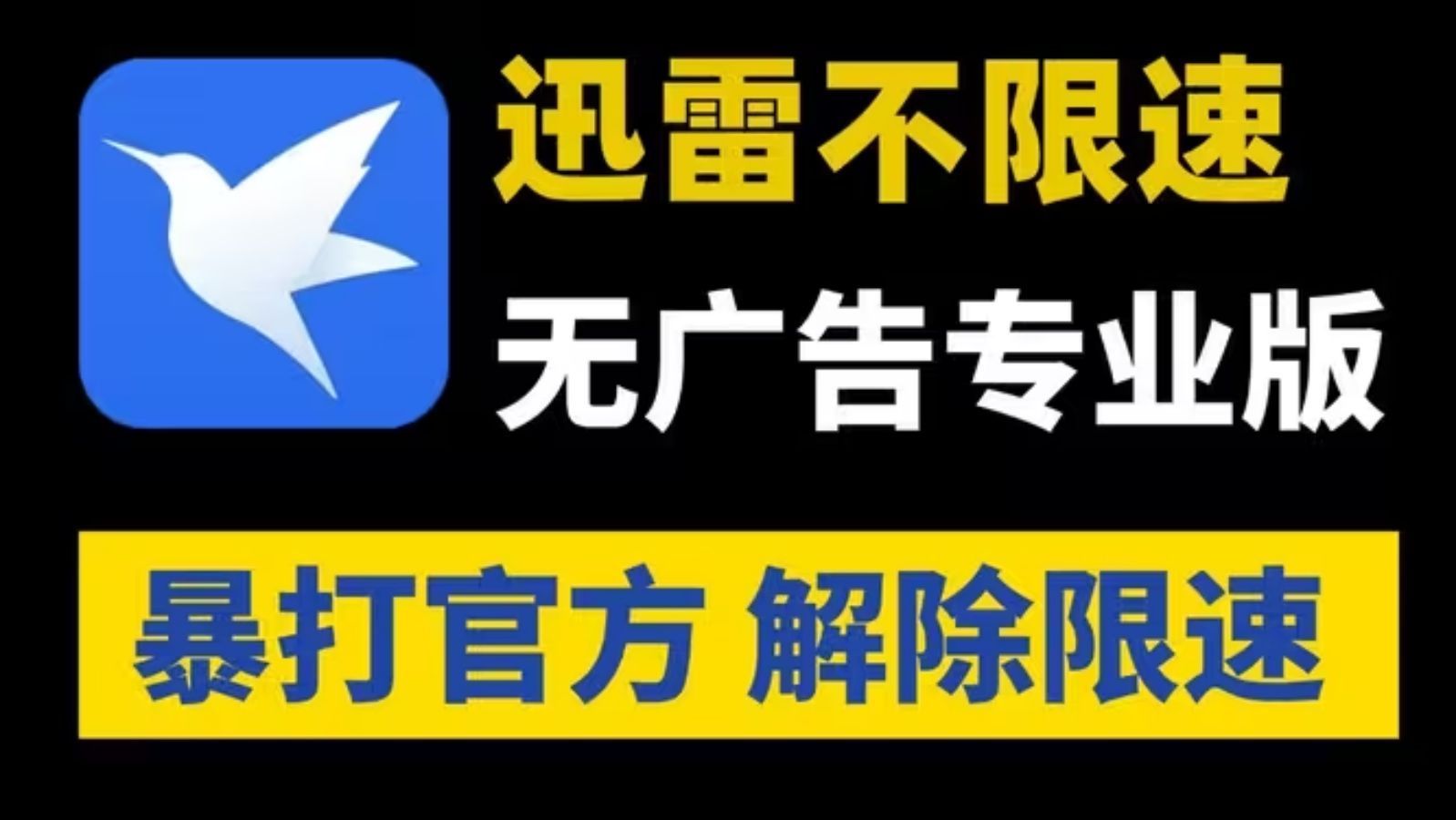 迅雷手机不限速版迅雷11不限速完美破解版-第2张图片-太平洋在线下载