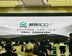 屏南牌手机版古田三副屏南牌官方下载-第1张图片-太平洋在线下载